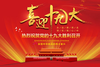 十九大专题