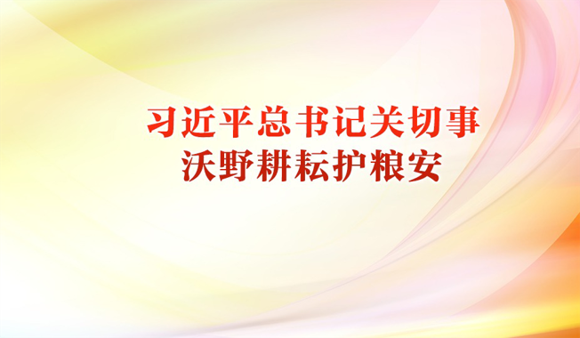习近平总书记关切事｜沃野耕耘护粮安