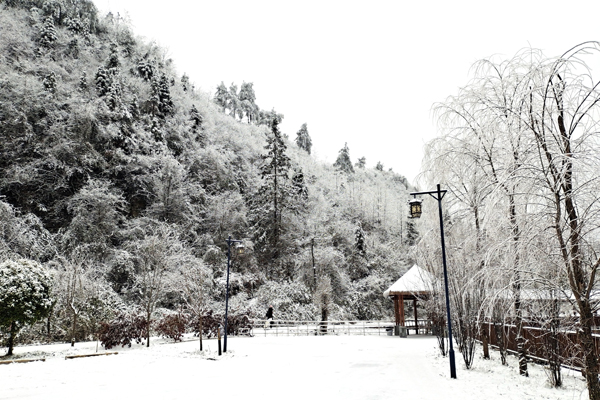 01冬雪铺满大地，一切都是白茫茫的。.jpg