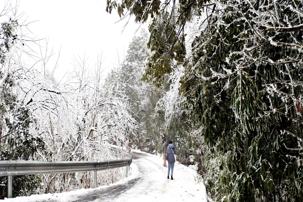 03游客走在景区道路上，欣赏千里冰封，万里雪飘的冬季雪景。.jpg