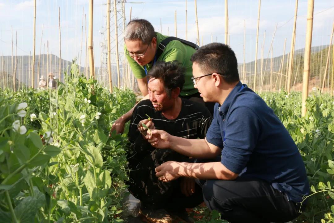 微信图片_20210926202406.jpg 微信图片_20210926202406.jpg