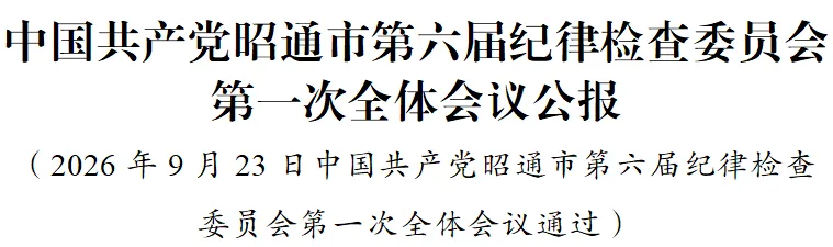 222.webp.png